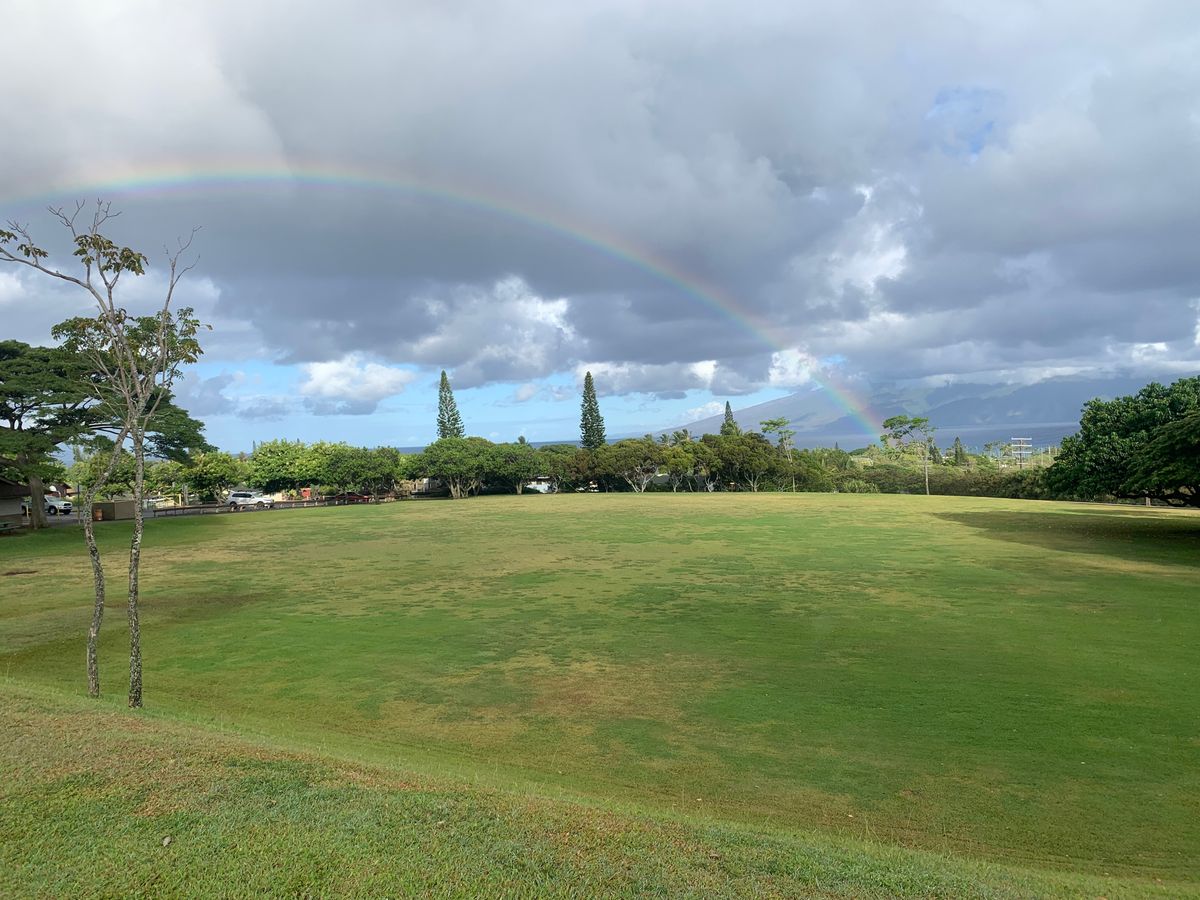 Disc golf in the rainbow state!