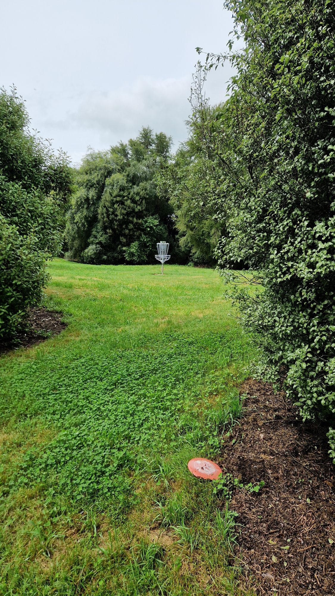 Protected green of hole 8.
