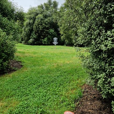Protected green of hole 8.
