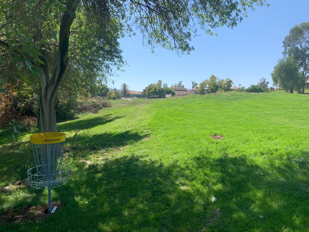 Alpha Hole 1 Basket