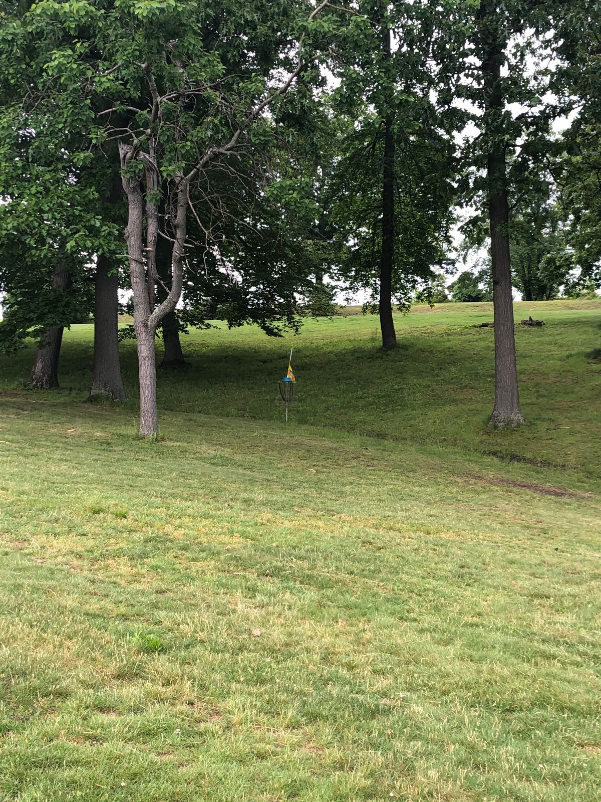 Hole #2 Basket