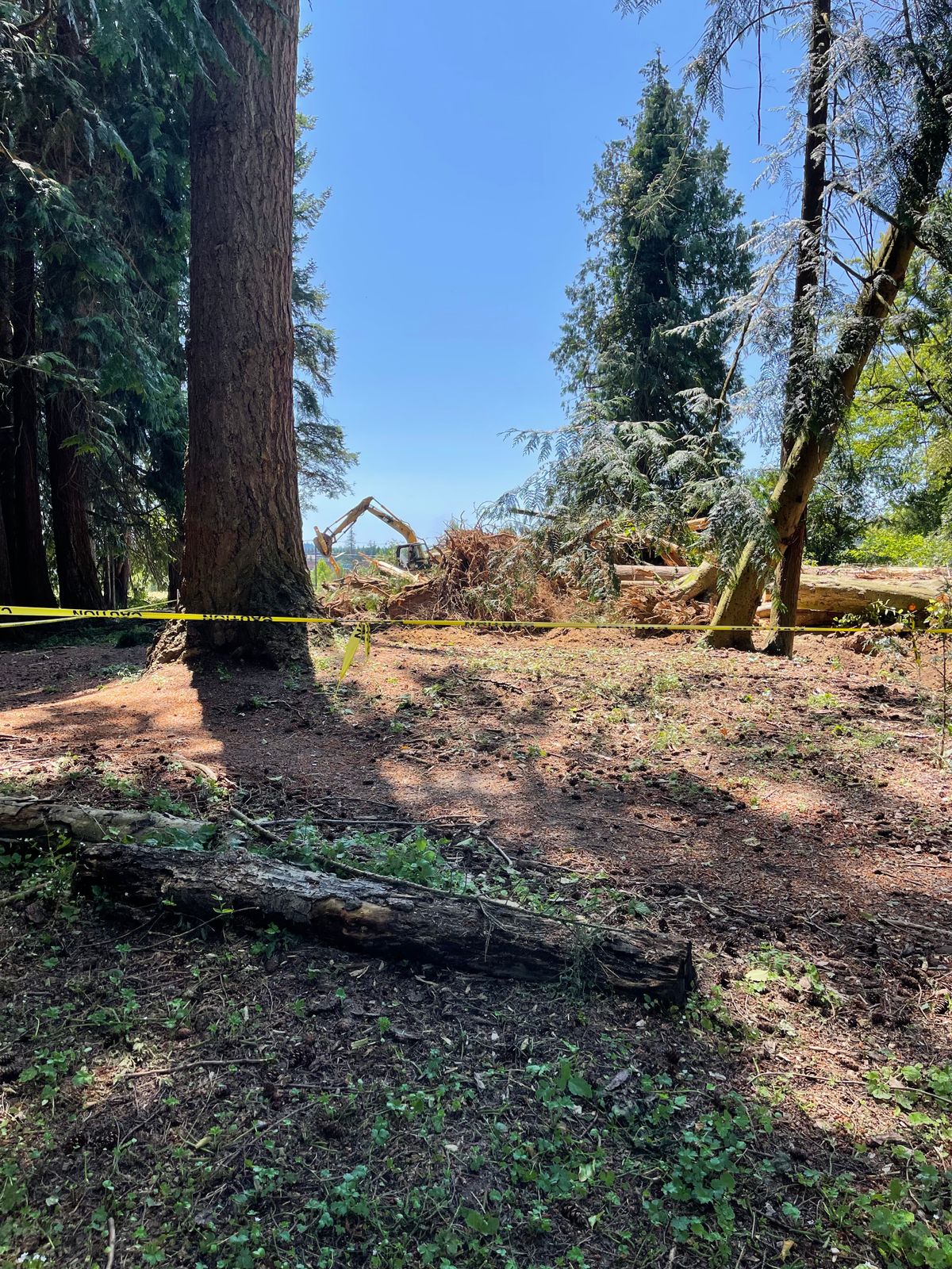 Looks like a big part of church creek course is no more.
