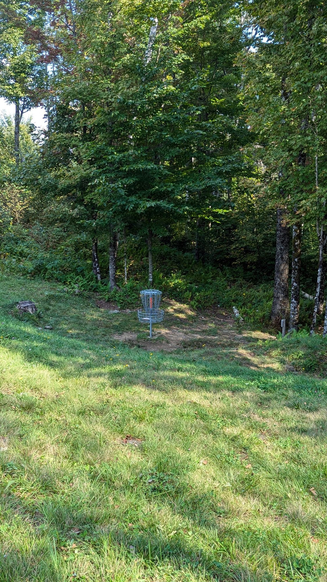 Hole 14, 40' short left