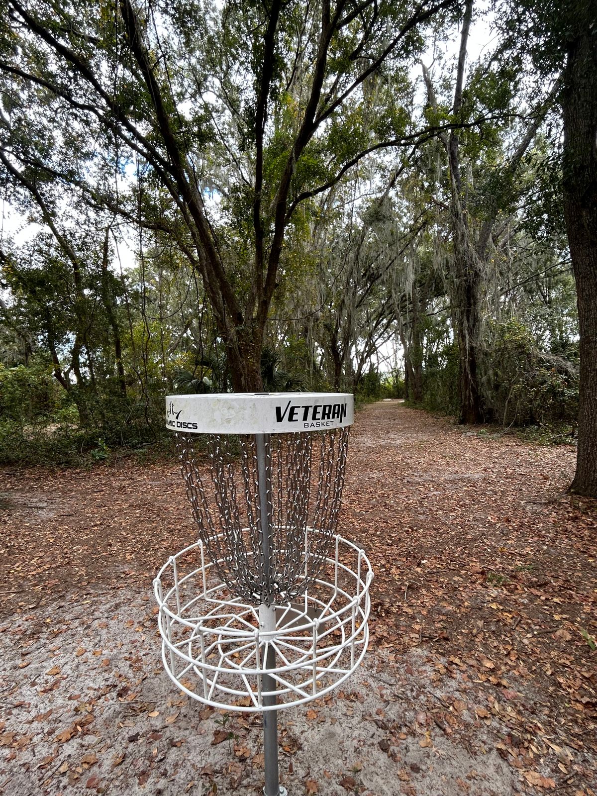 hole 8