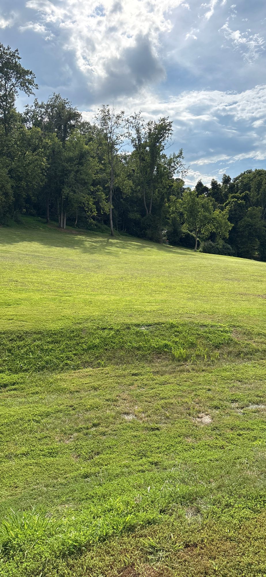 Hole 1 Tee Box