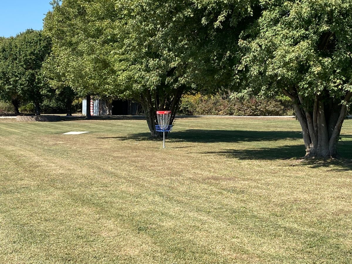 Hole #7 A Basket