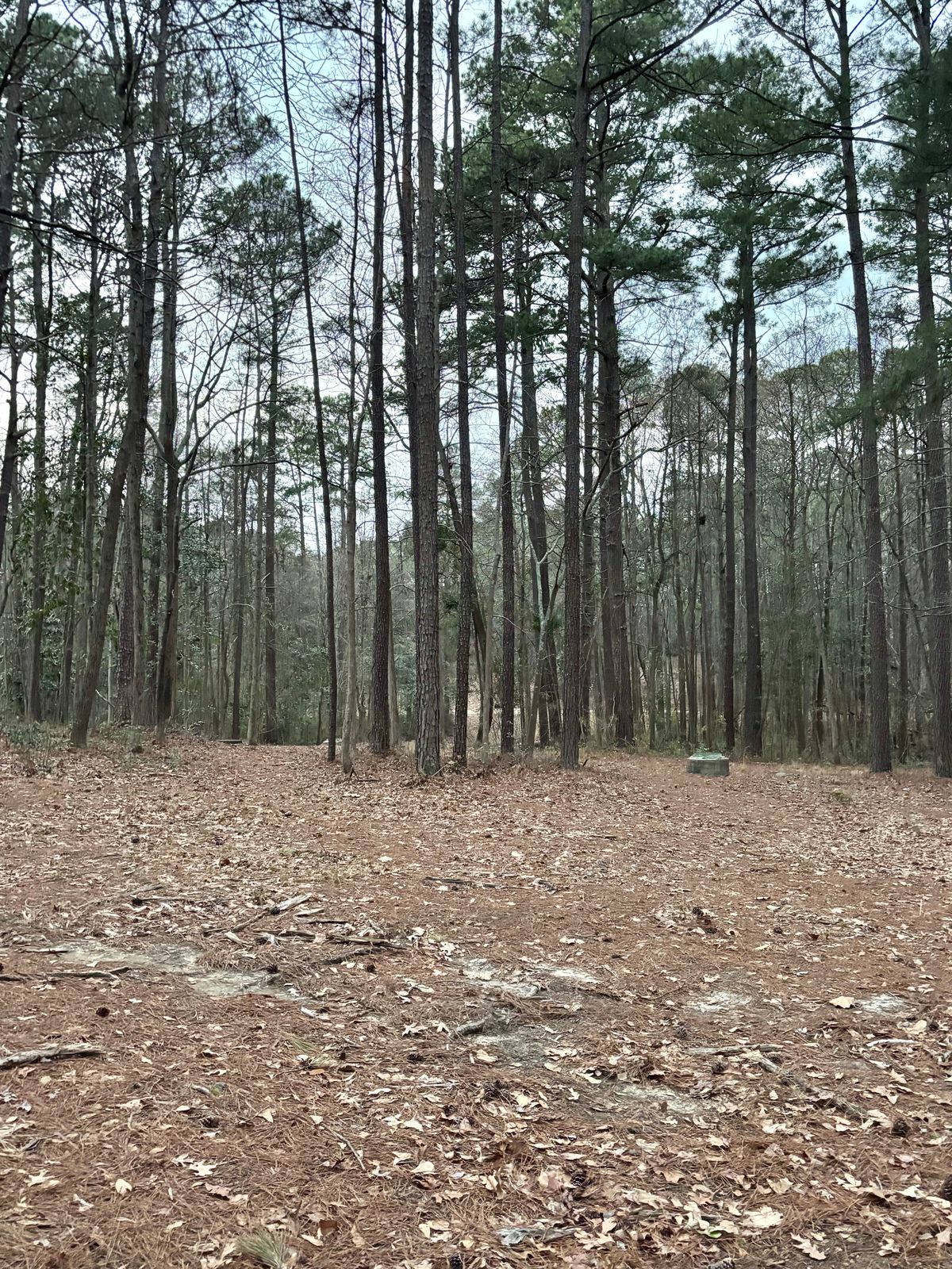 Hole 17 Approach