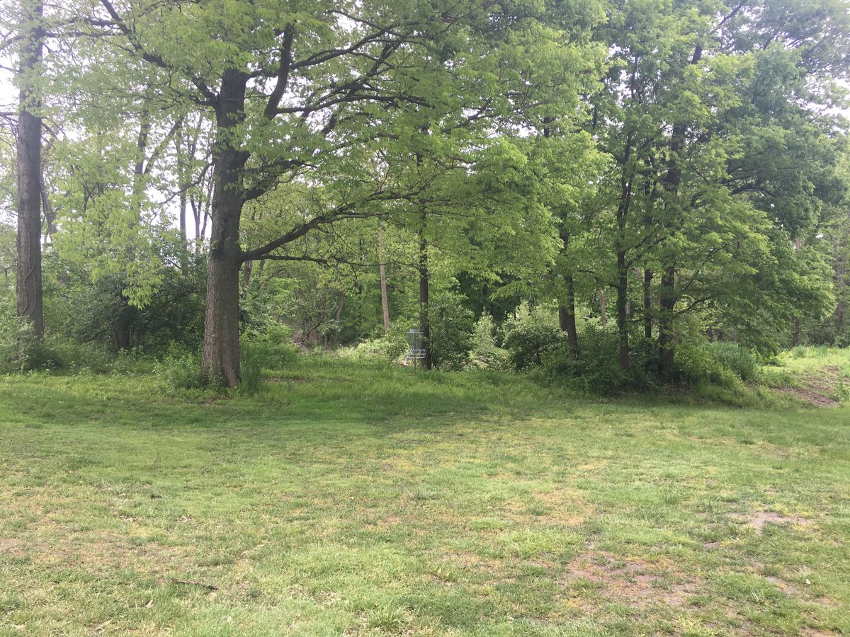 Hole 3 from the fairway