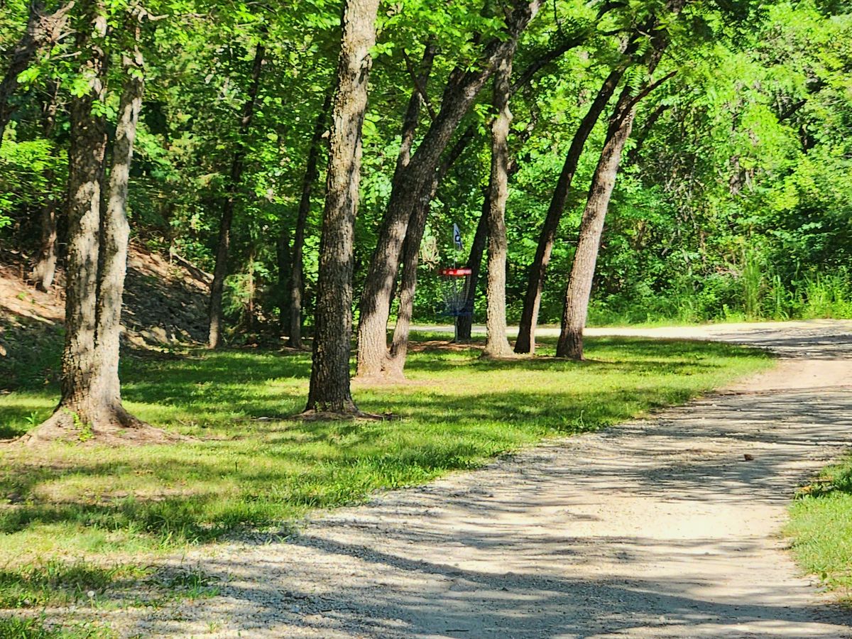 Hole 8: Wally narrow fairway