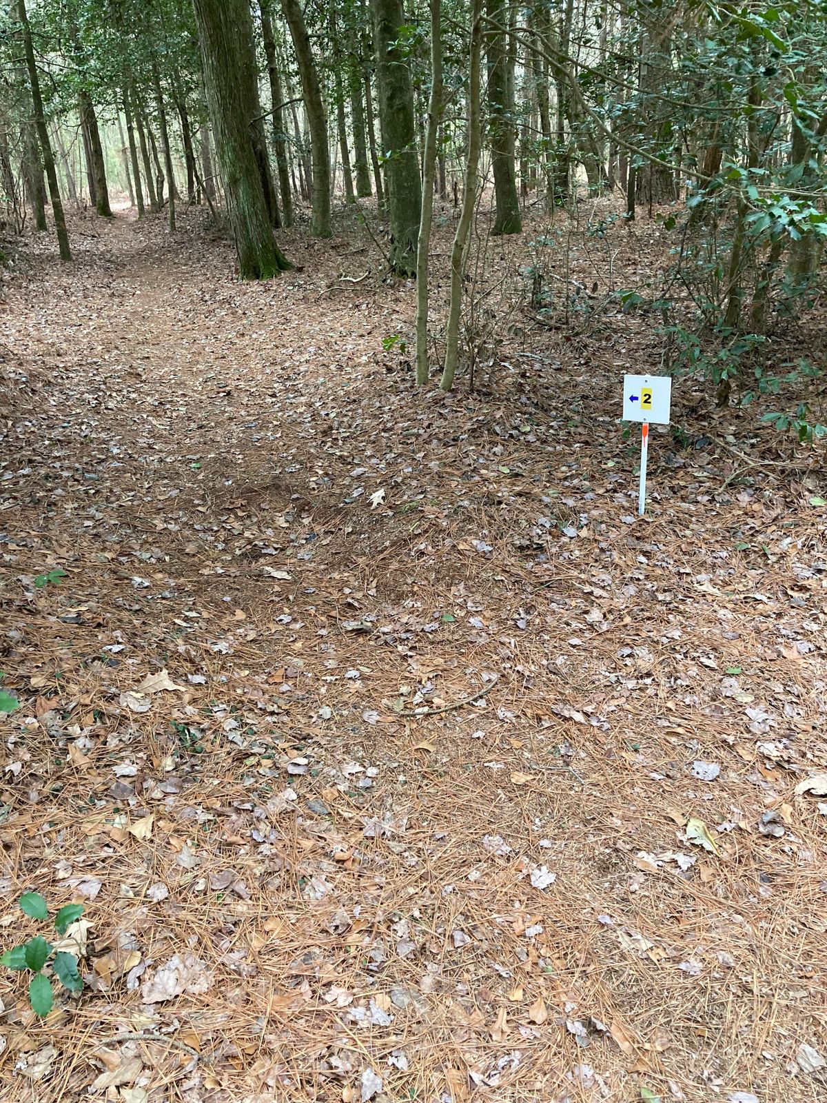 Path to hole 2