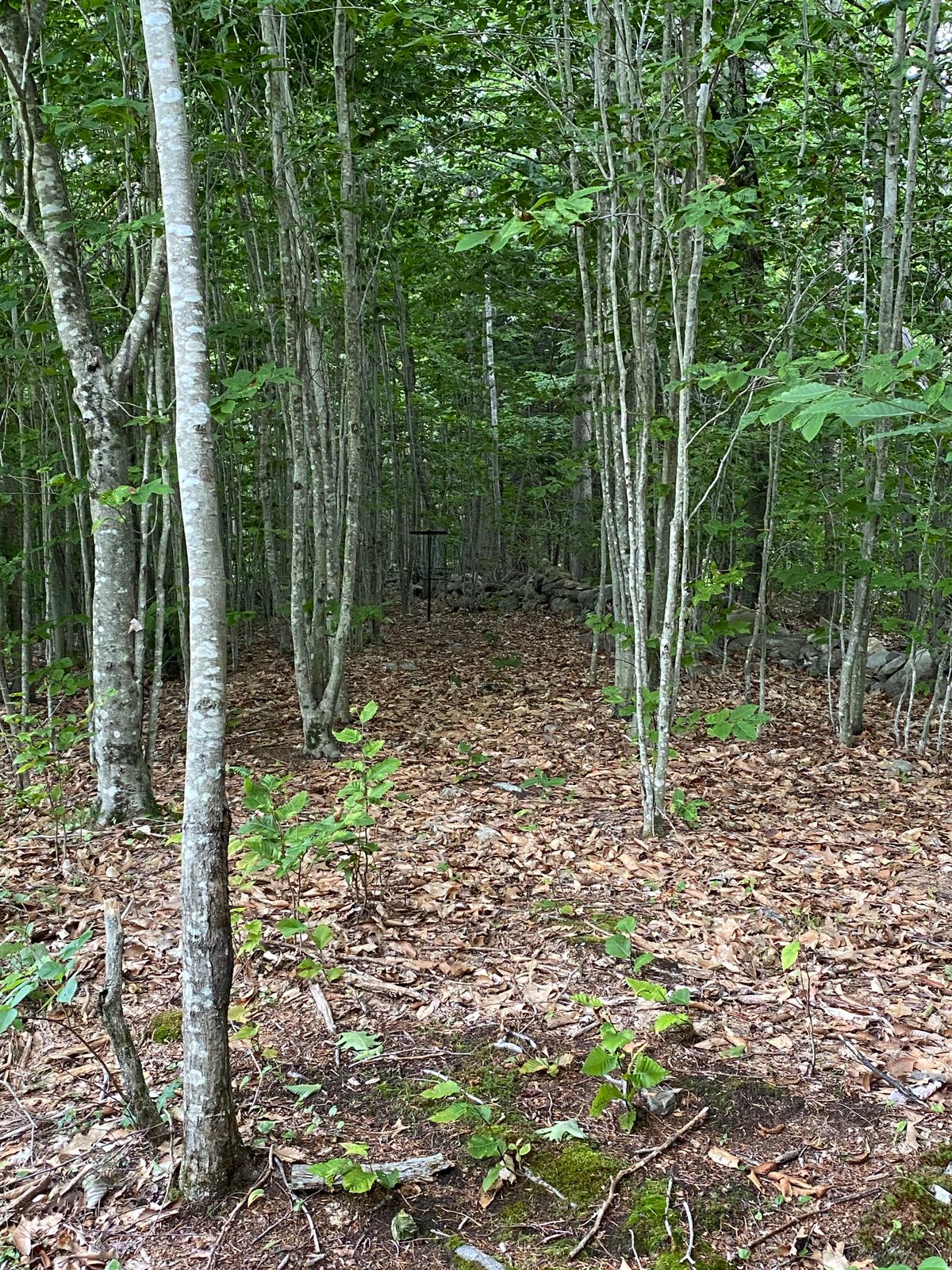 Hole 10