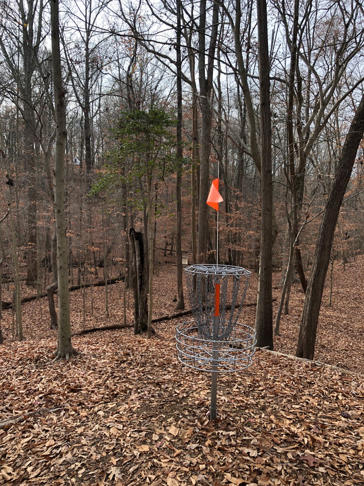 Hole 2 basket (looking back toward tee)