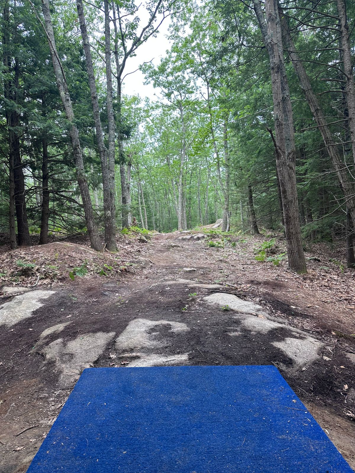 Hole #5