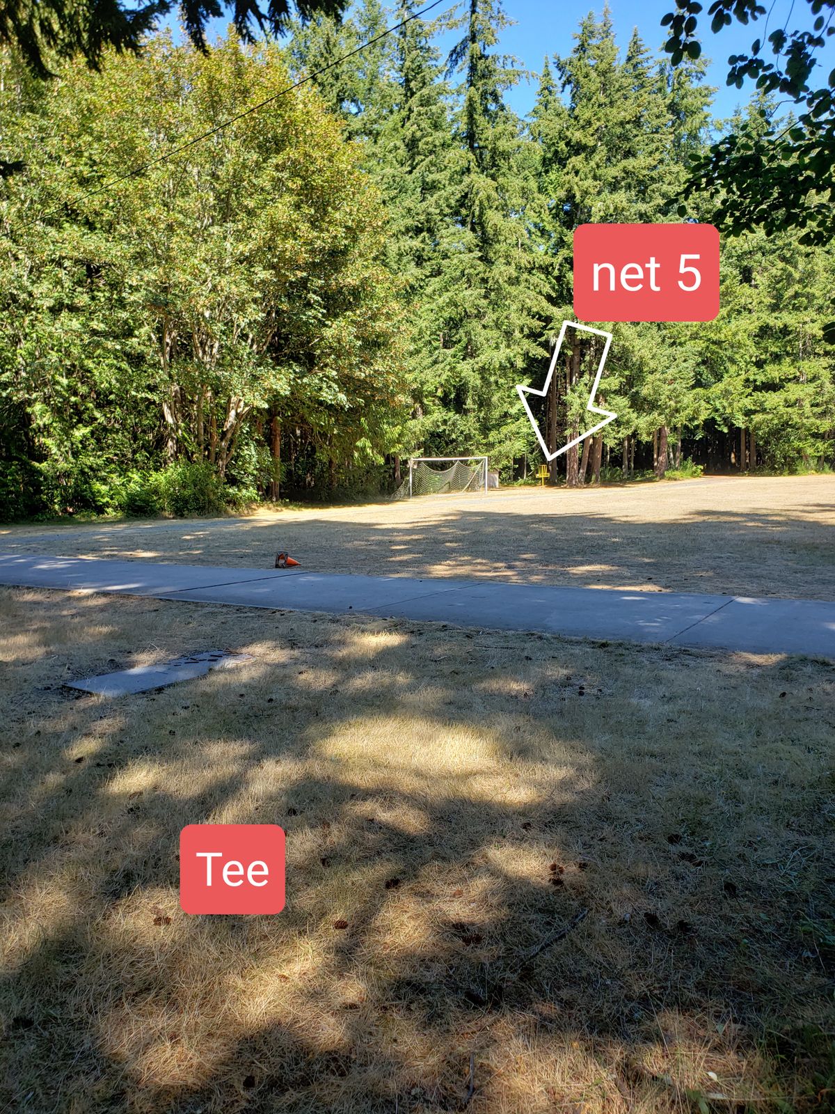 Net 5