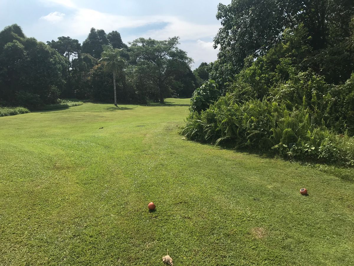 Tee for 16.
