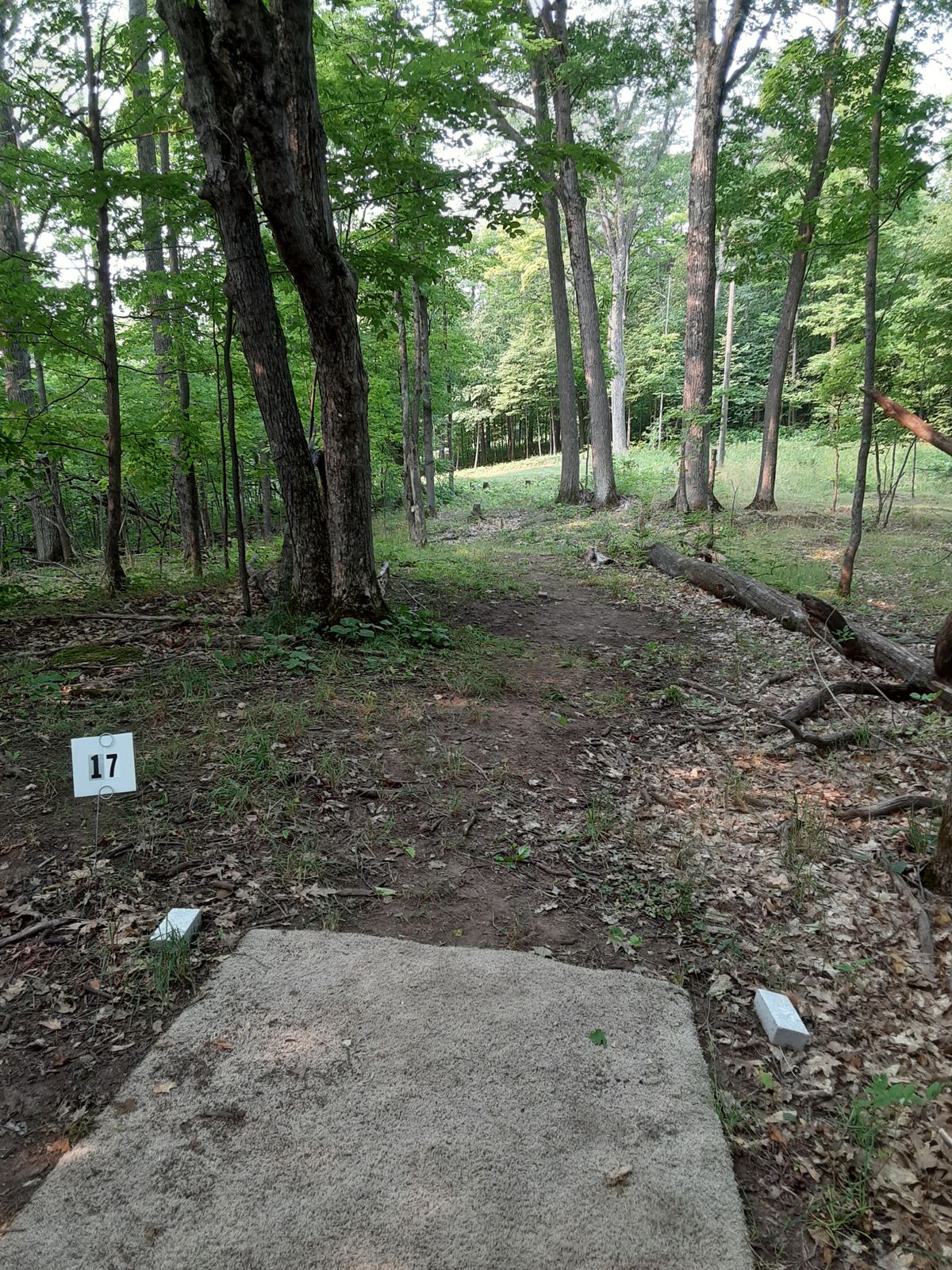 Hole 17 tee