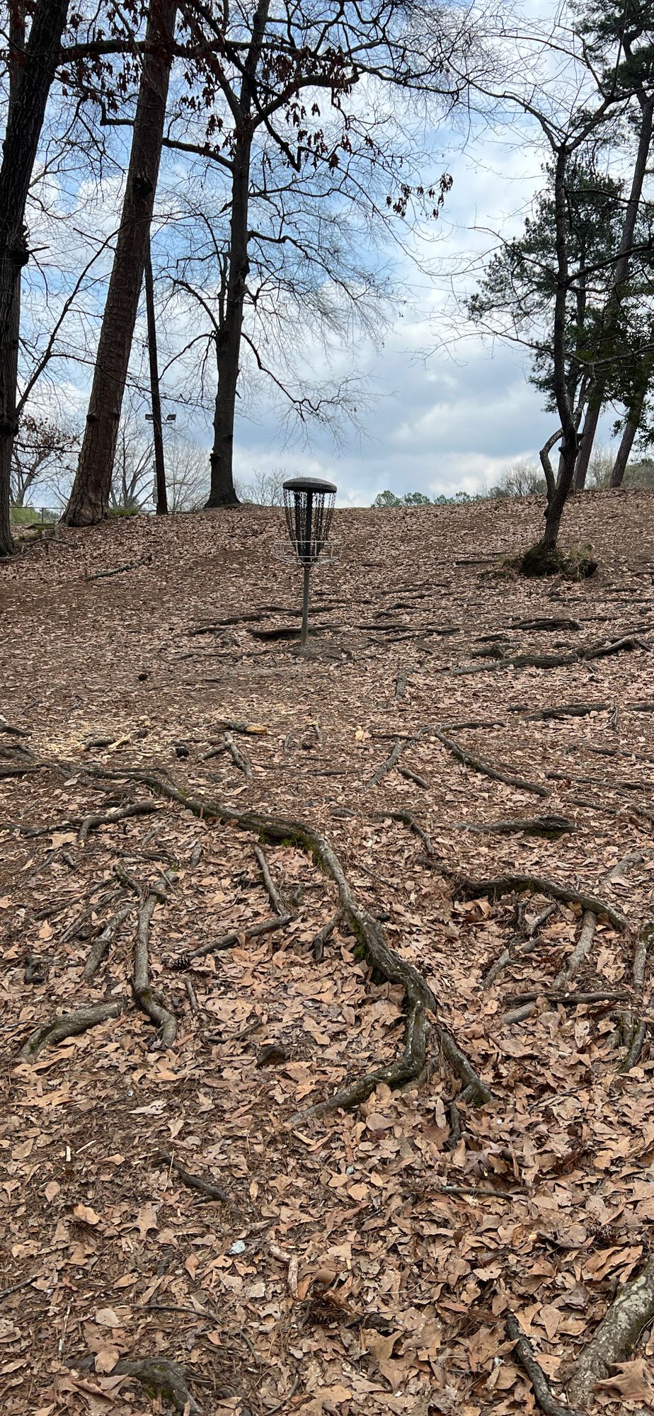 Hole #2 Basket