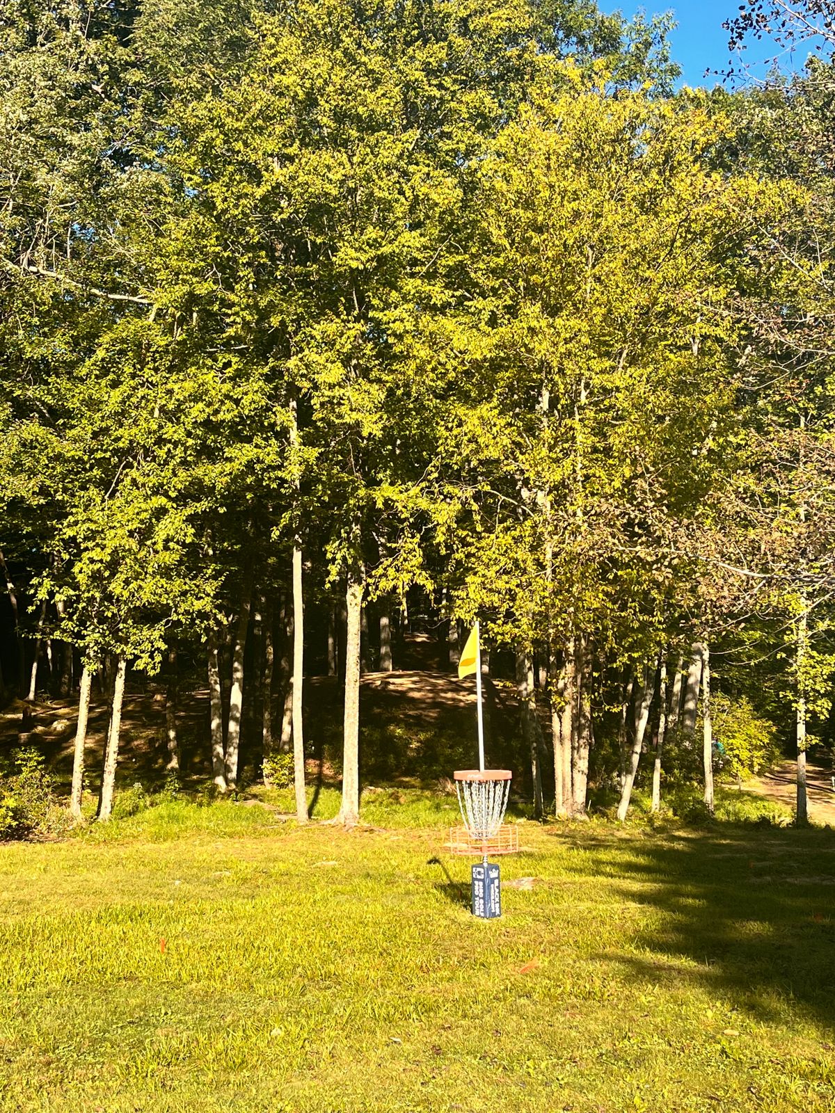 Hole 16 during mvp open.