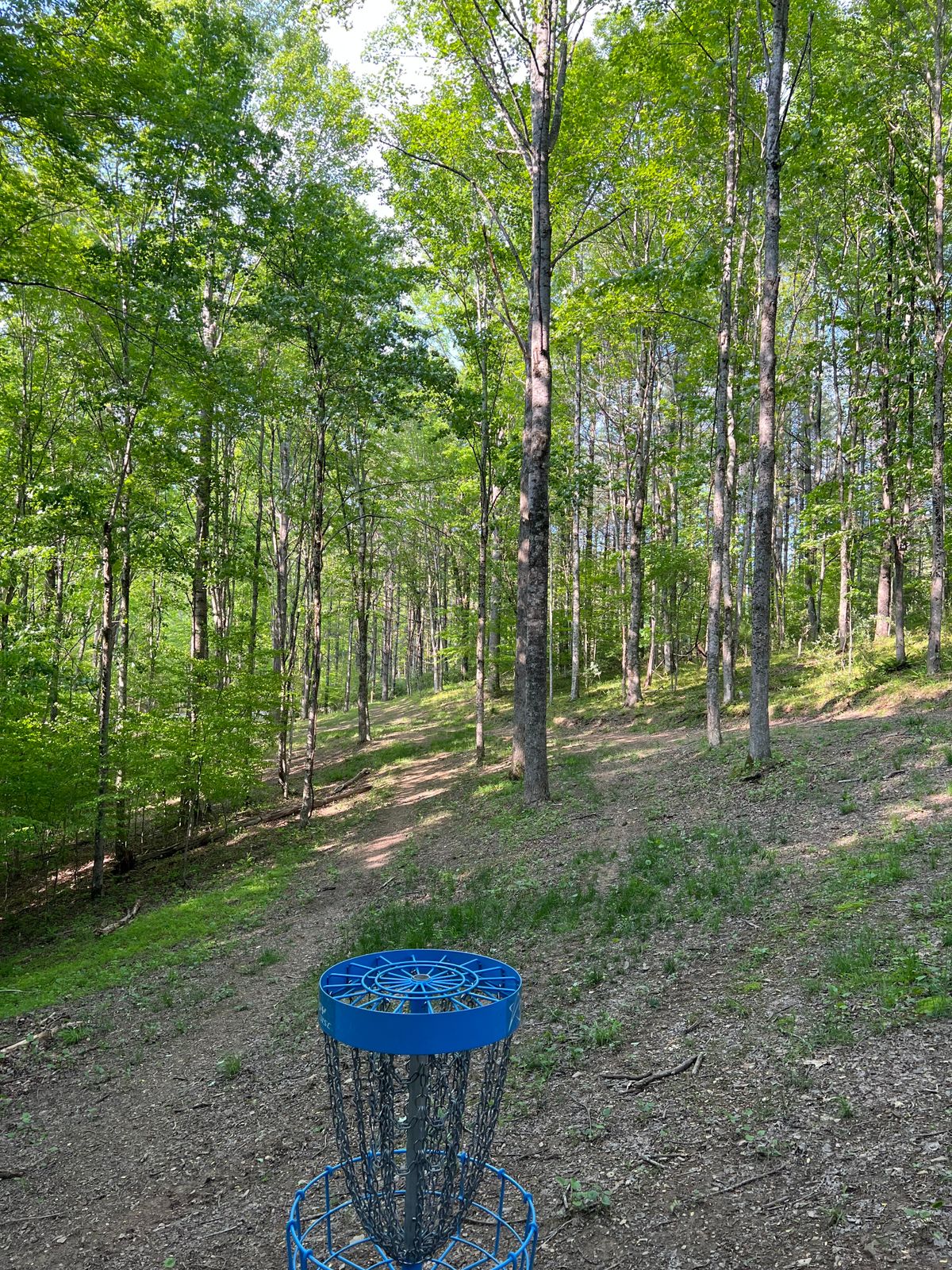 Hole 10 Basket to Tee