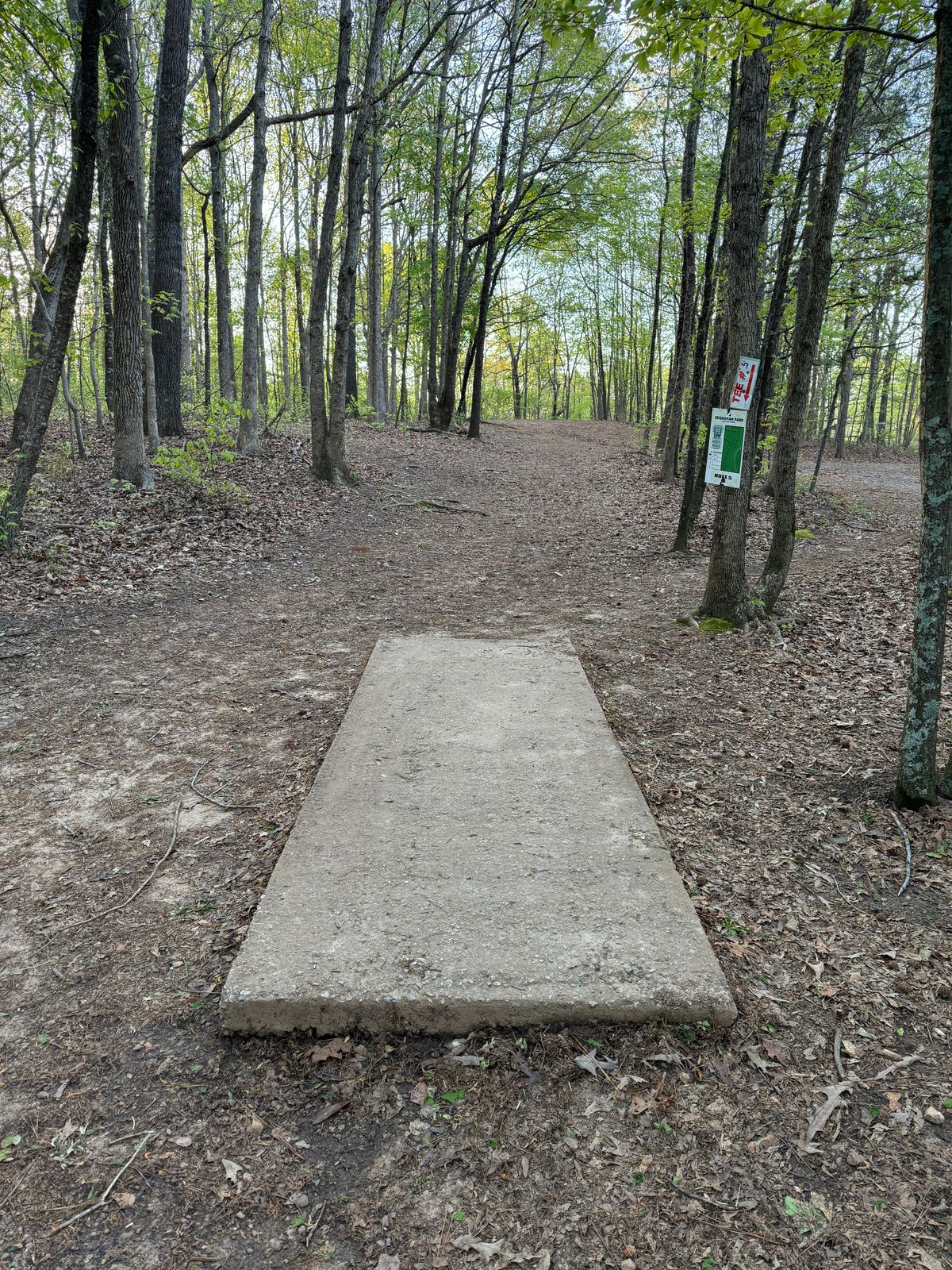 Hole 5