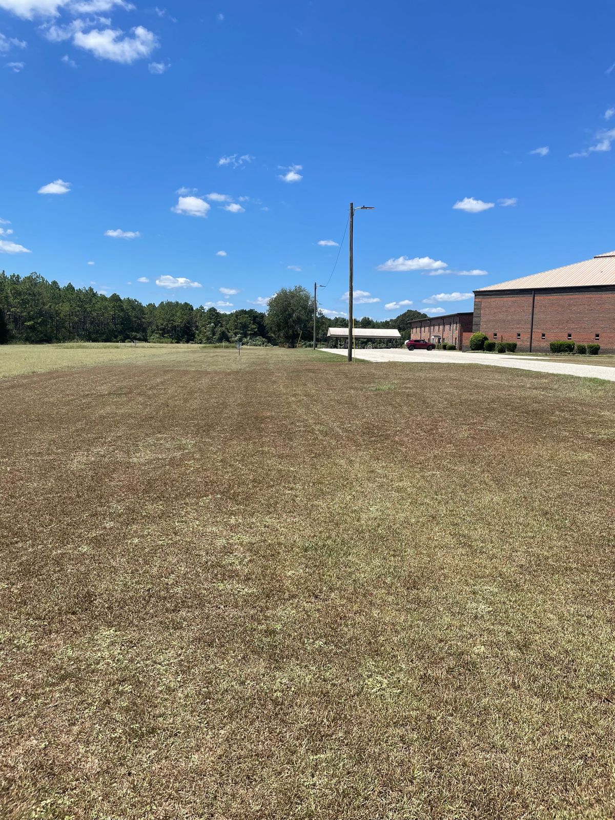 Hole 1. Parking lot and tall grass OB