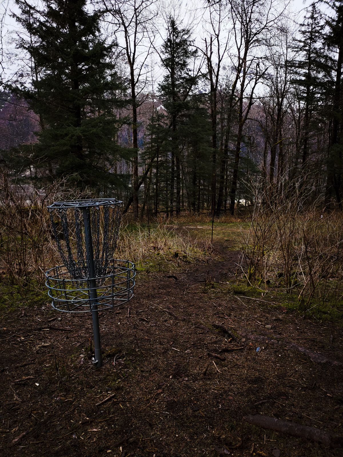 From the basket of Hole 2