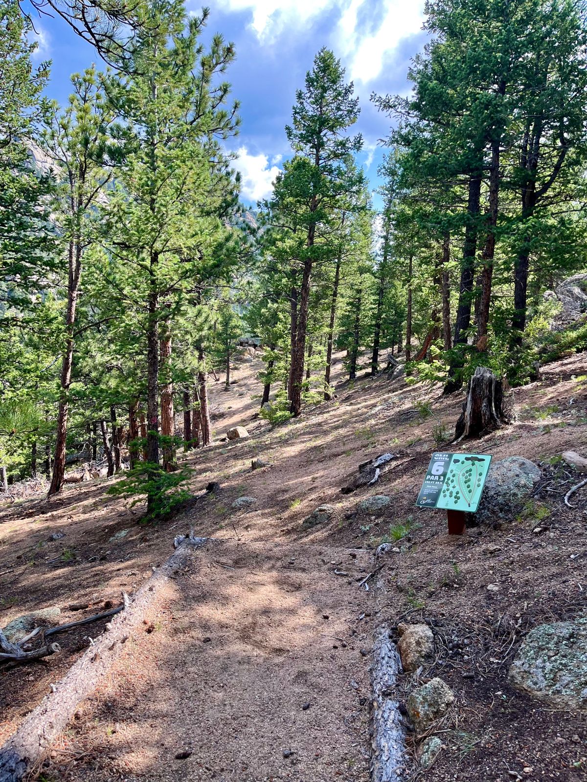 Hole 6