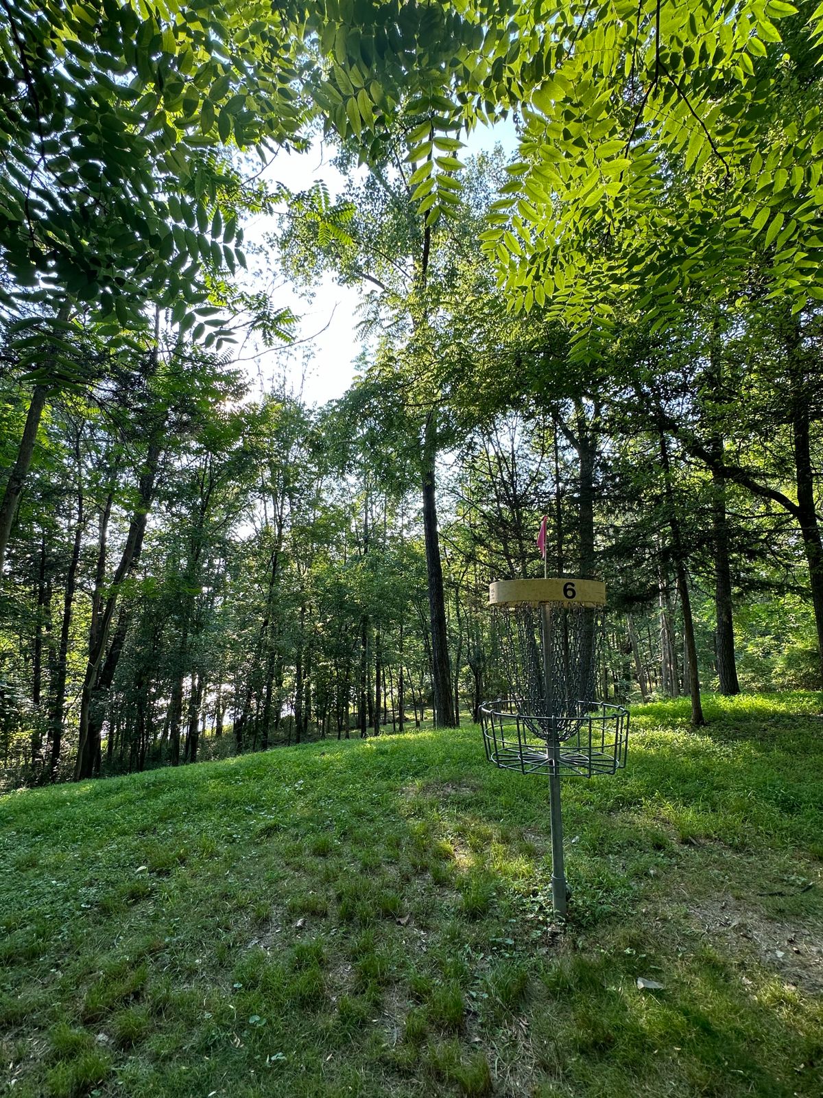 Hole 6 on the mound