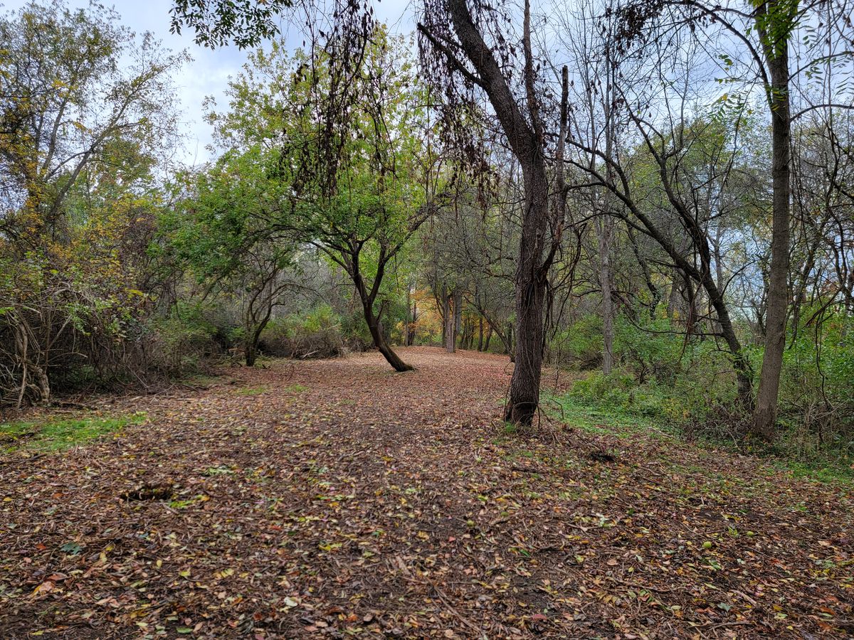 Hole 5 Blue