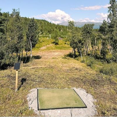 Tee 1