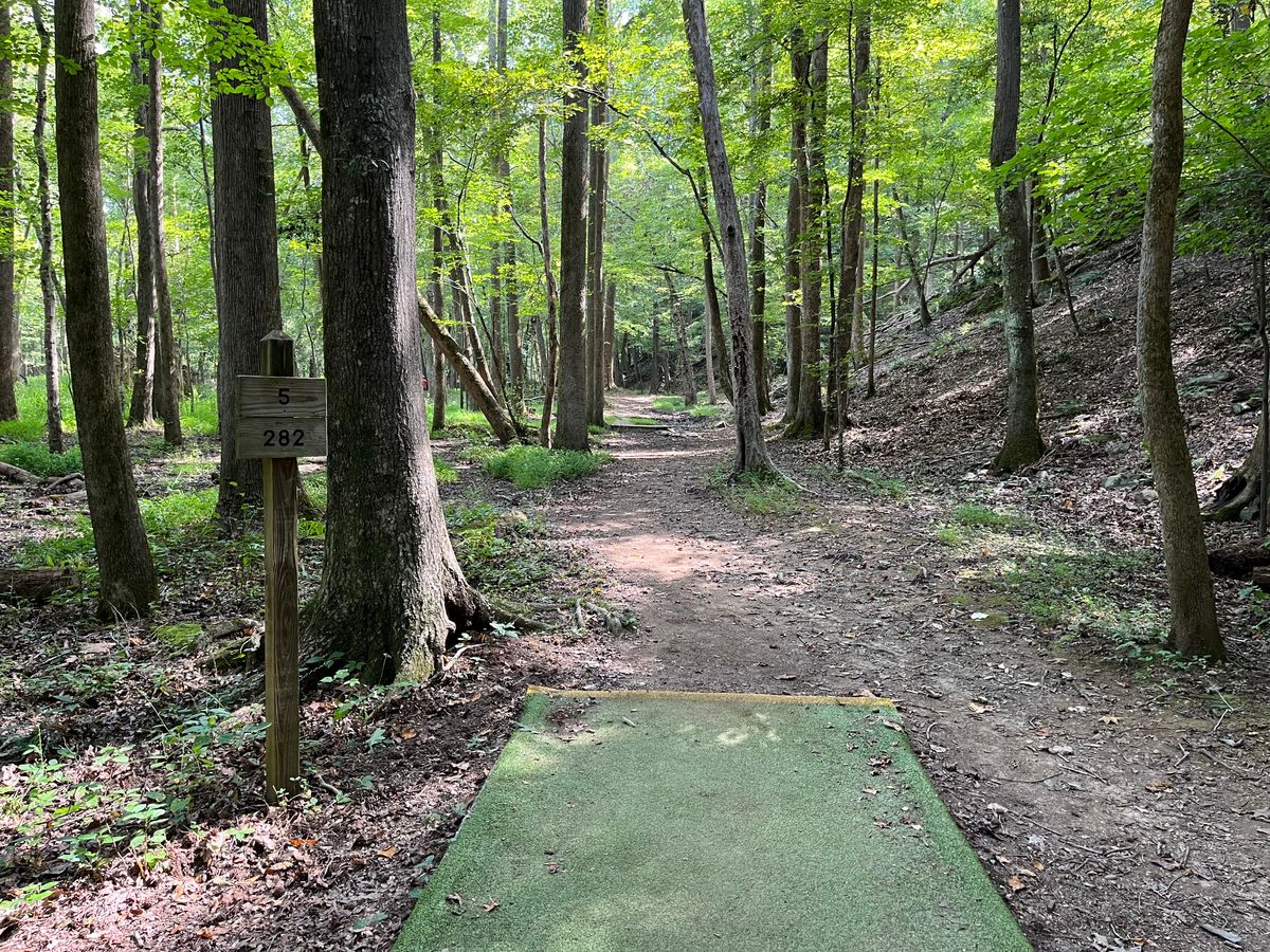 Hole 5
