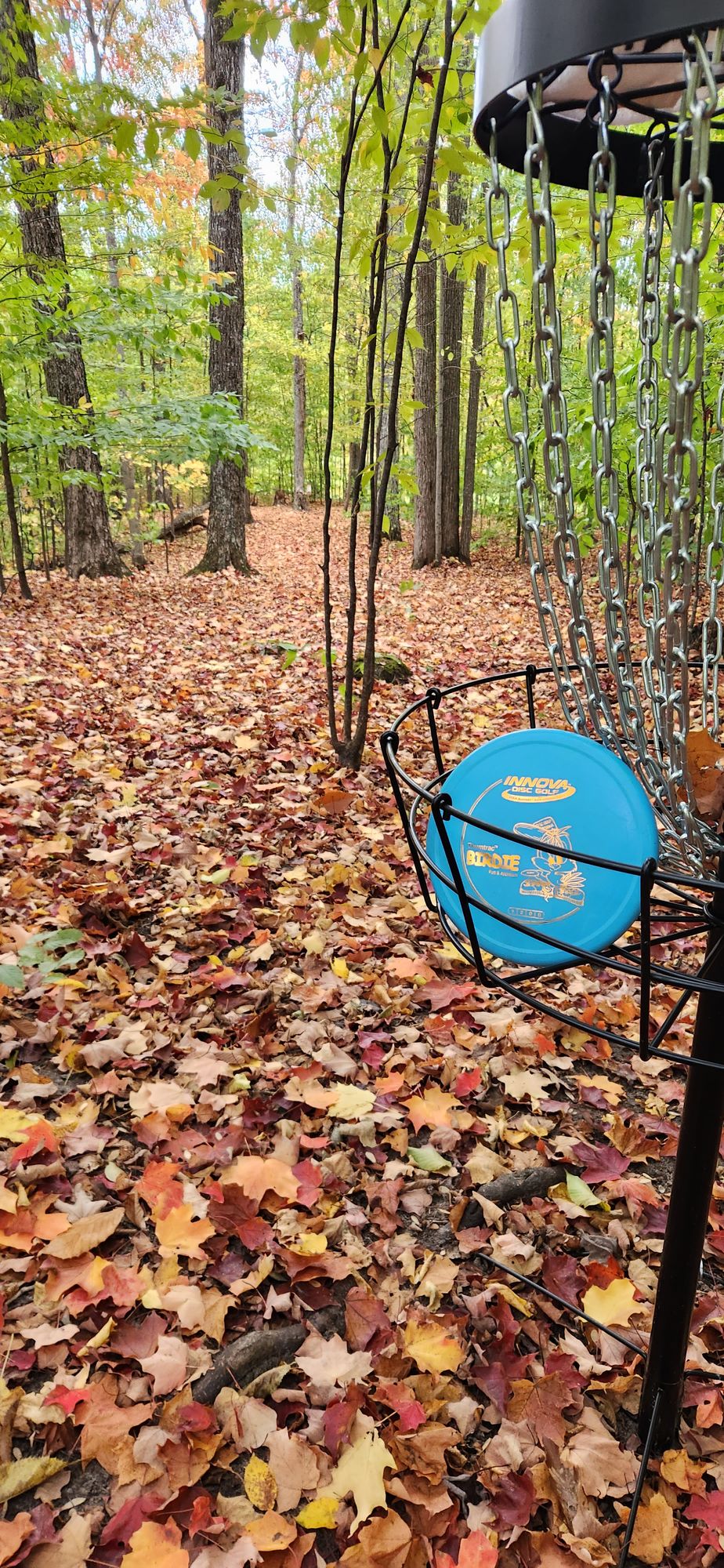 Hole 1 looking back