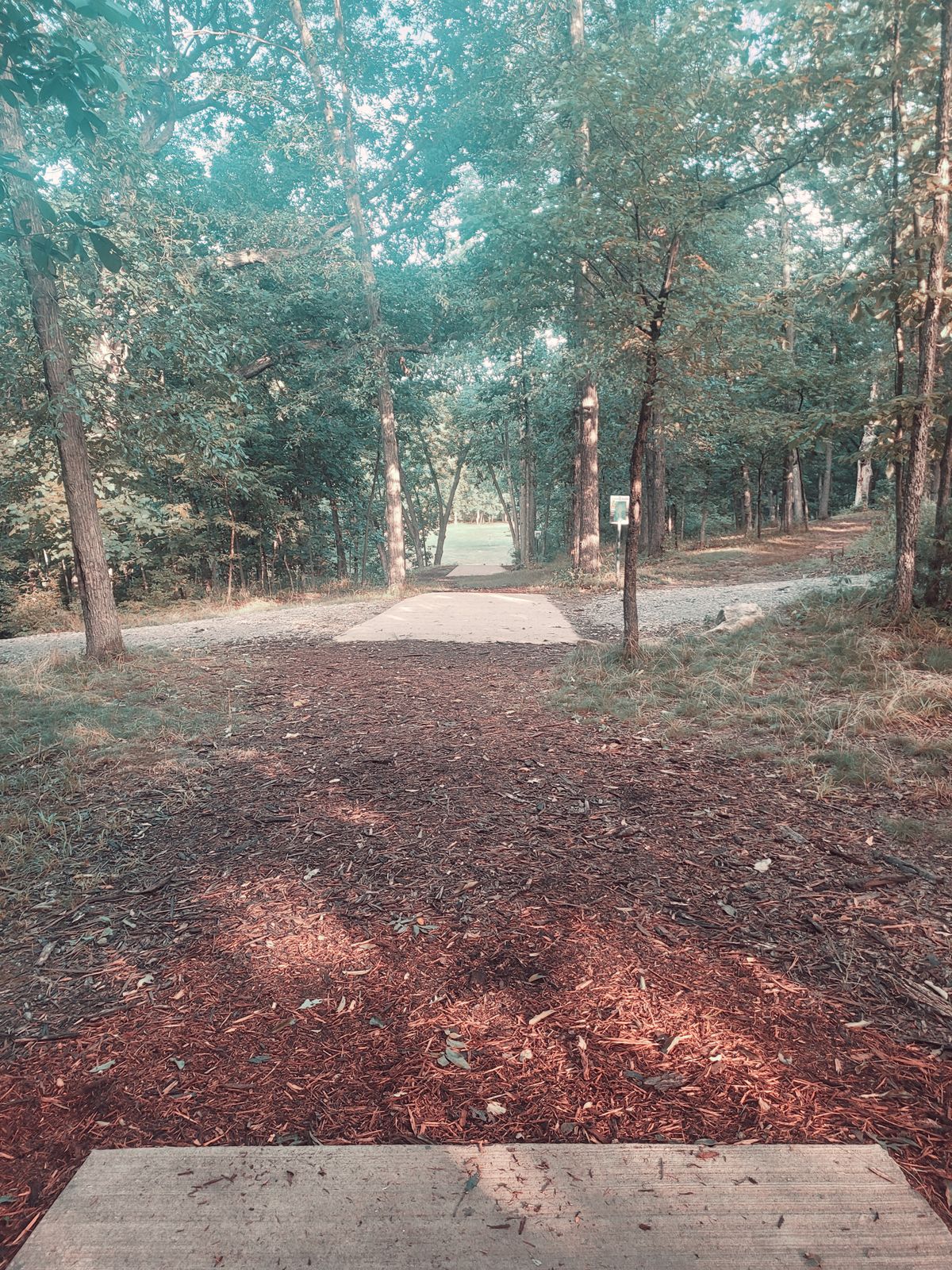 Hole 7 - Blue Tee