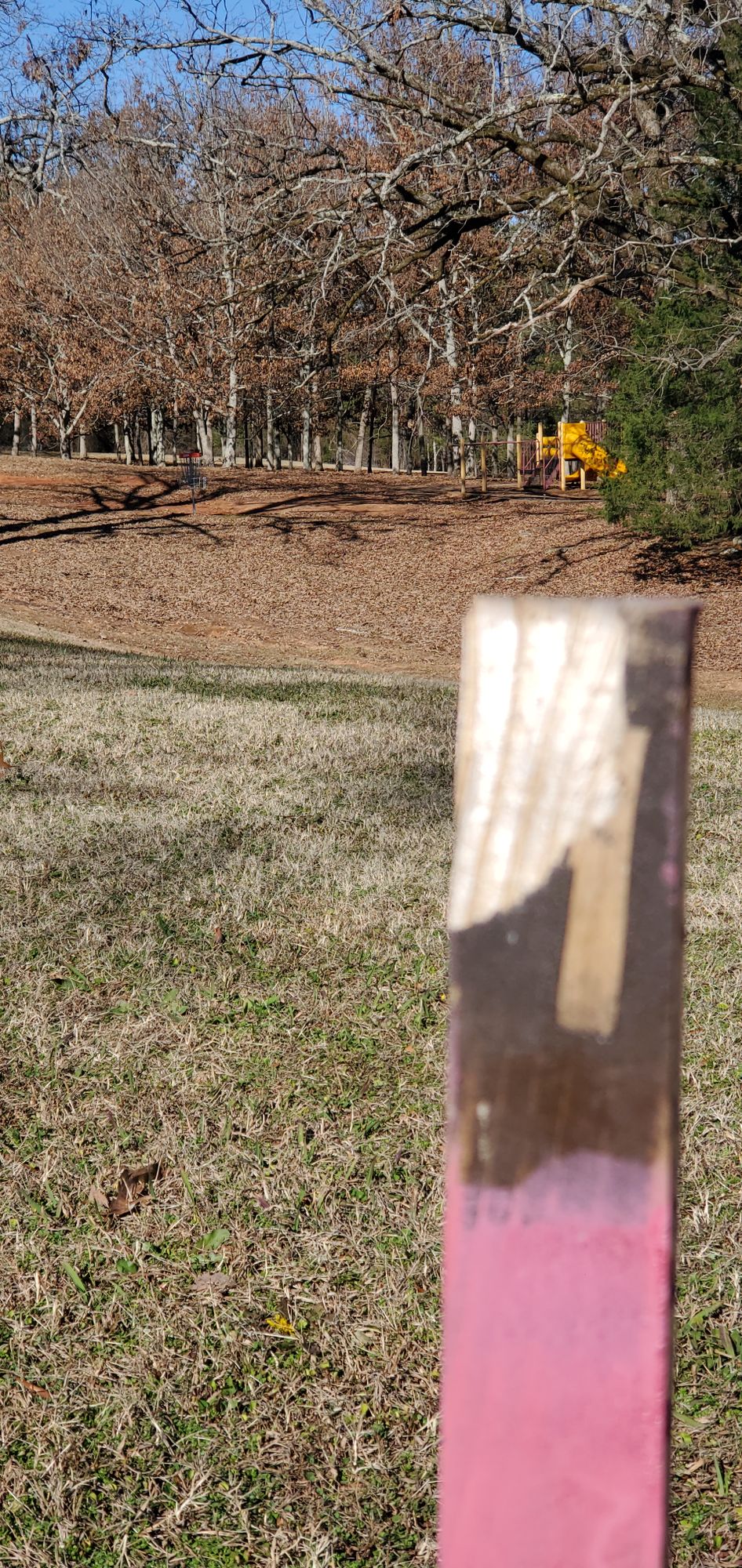 Hole #1 tee post (foreground), hole #1 basket (background, left)