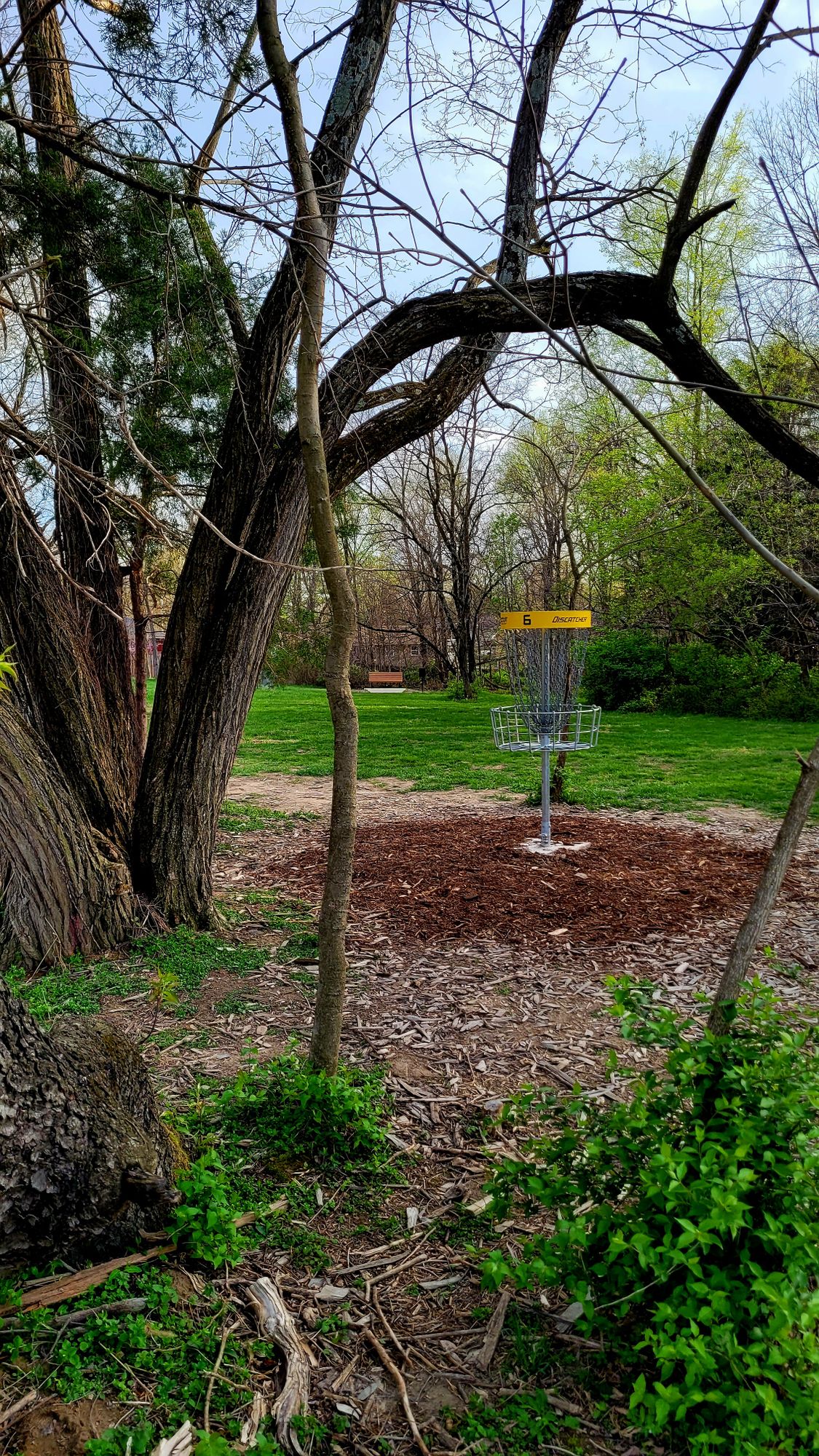 Hole 6