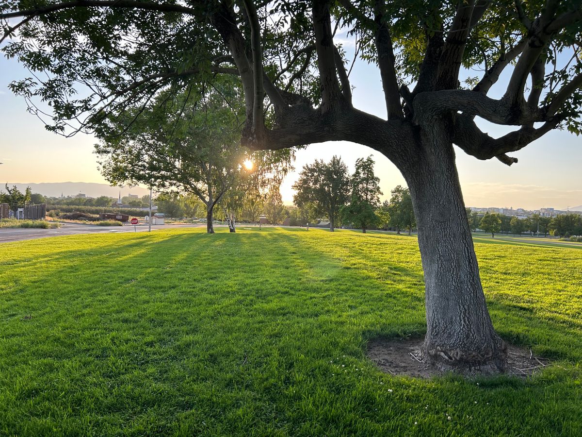 This is what a park course is meant to be!