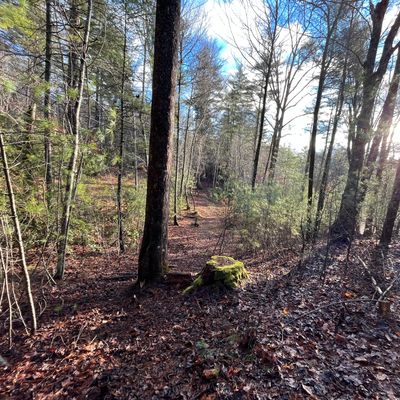 Hole 18 with a retired Richmond hill basket