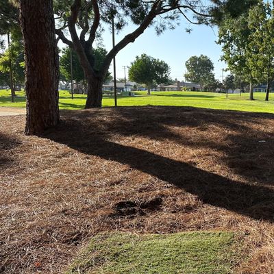 Hole 7