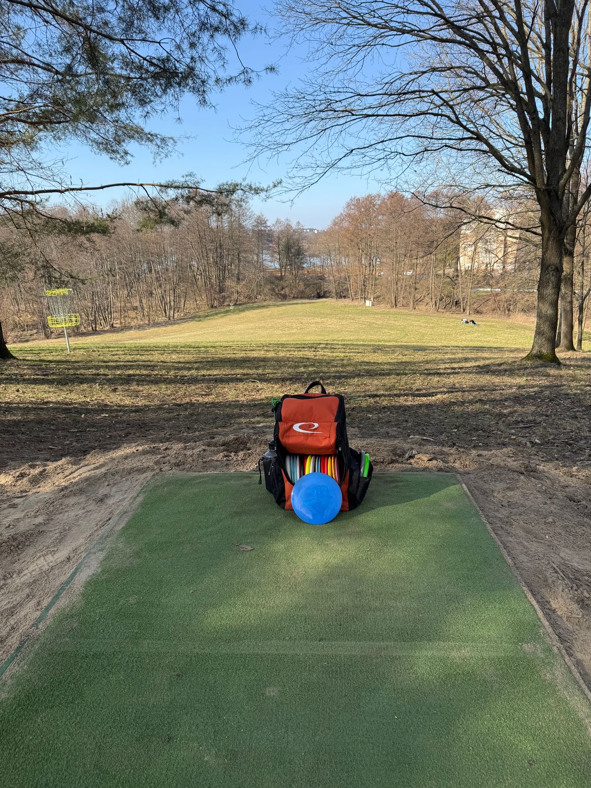 Tee pad 17