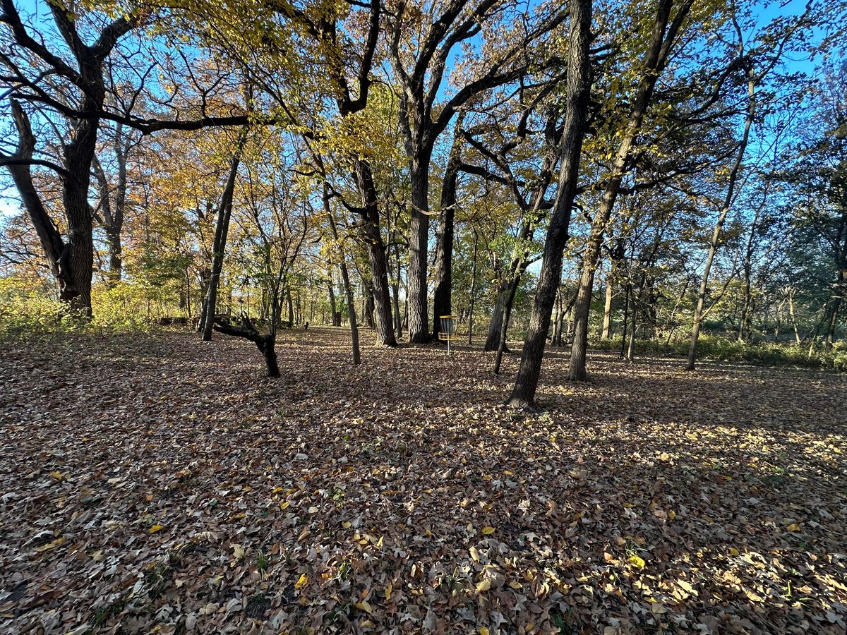 Hole 10 short pin. Long deep to the left