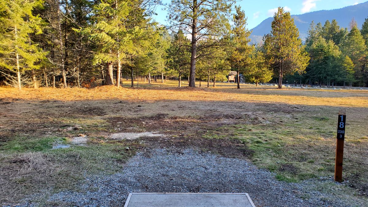 Tee pad hole 18