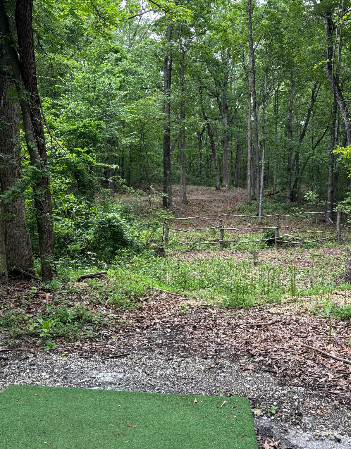 Hole #14 Tee