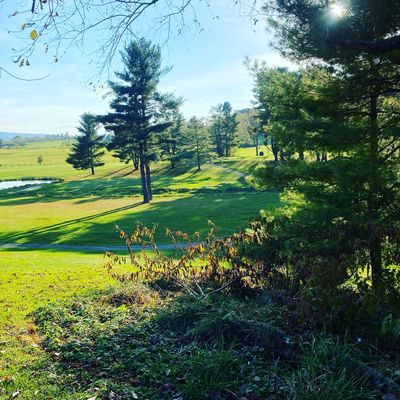 Hole 11 Golds