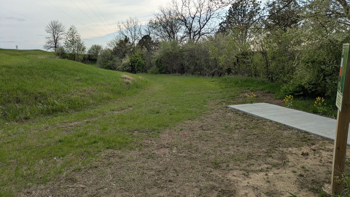 Tee #8 & #17