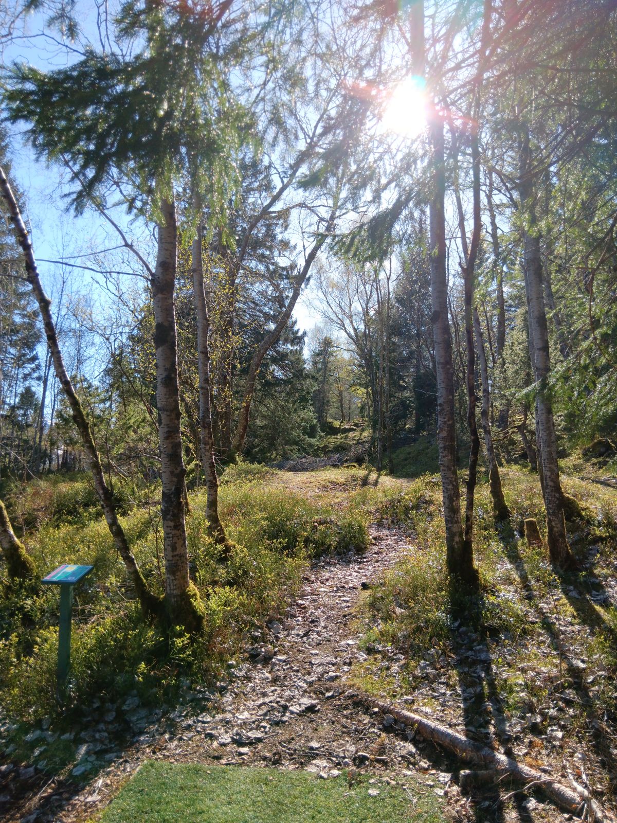 Blå