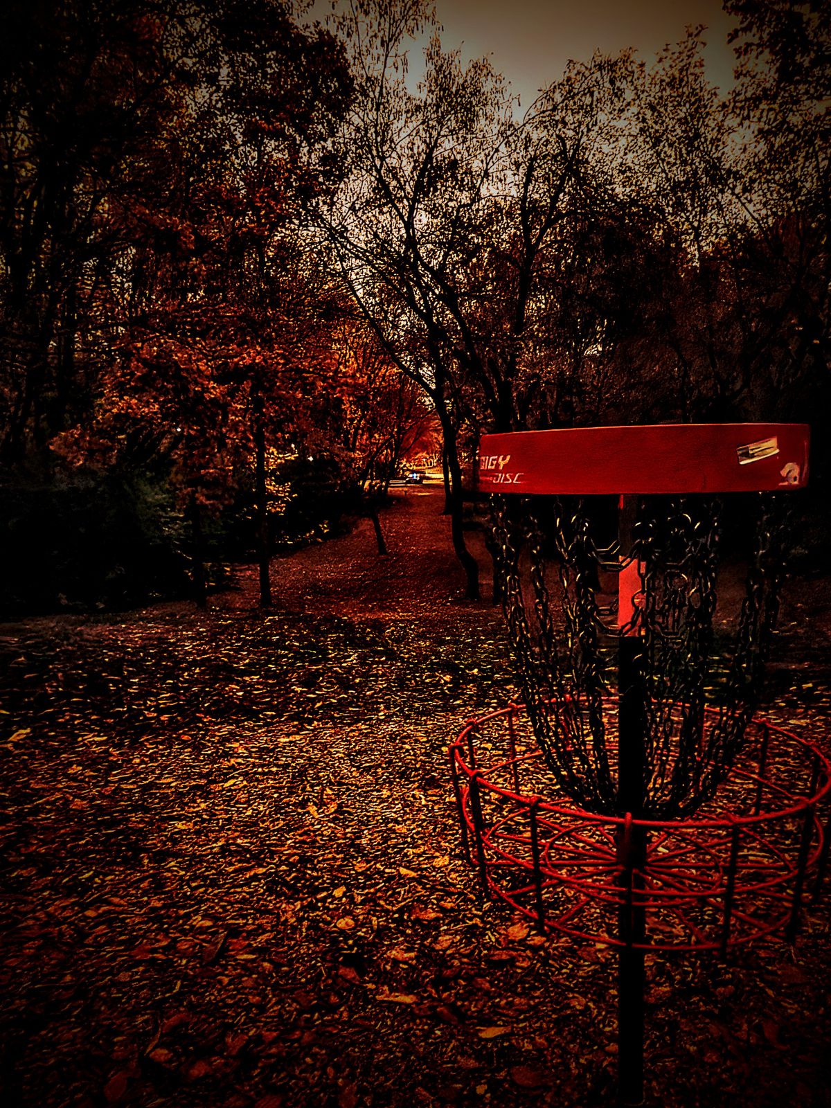 Hole 1/11 looking back on the fairway at night 🌙