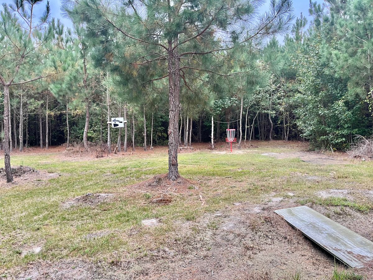 Hole 13 Short Basket