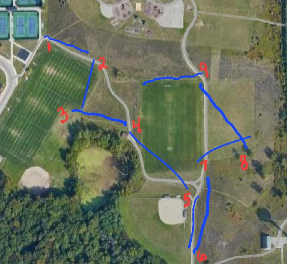 The numbers are the tee locations and the lines point generally to the baskets. Hope this helps as it can be a bit confusing at times
