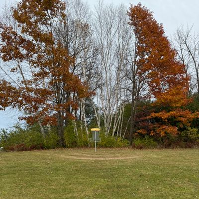 Hole 9’s basket