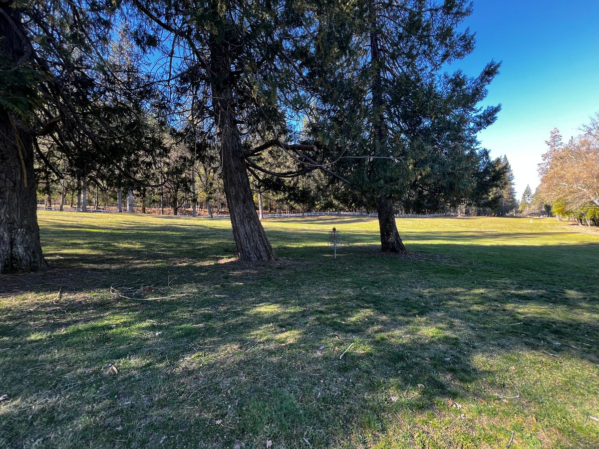 Hole 13